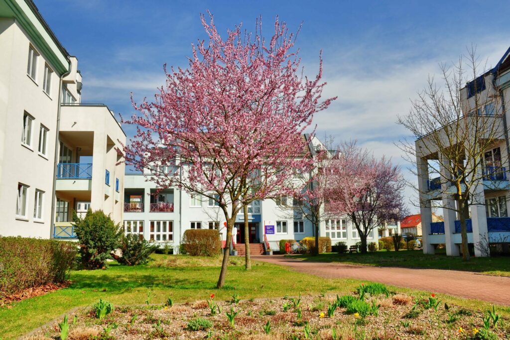 Rote Mühle Quartier im Frühling Foto von Christa-Maria Ruch